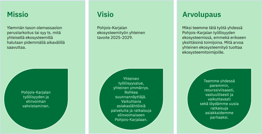 Pohjois-Karjalan työllisyyden ekosysteemin missio, visio ja arvolupaus.